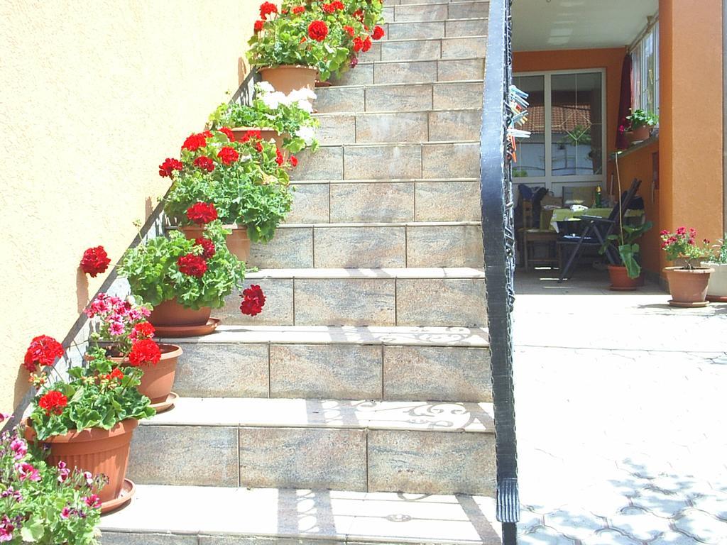Apartments And Rooms Juki Senj (Lika-Senj) Exterior foto